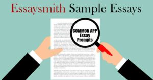 common app essay business